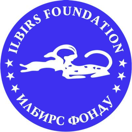Логотип Ilbirs Foundation
